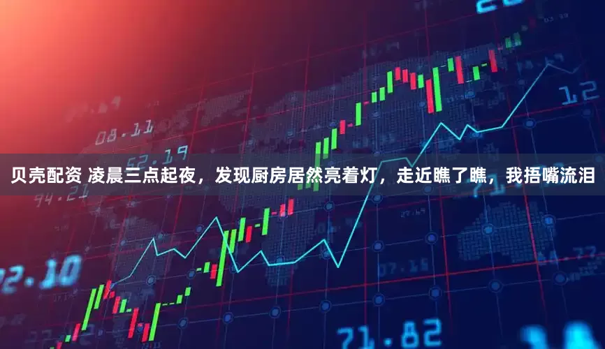 贝壳配资 凌晨三点起夜，发现厨房居然亮着灯，走近瞧了瞧，我捂嘴流泪